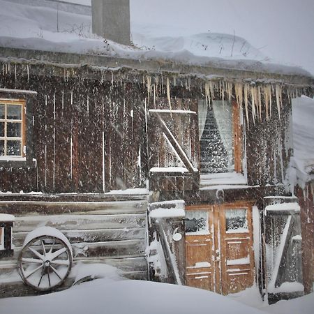 Albyggarden Villa Røros Esterno foto